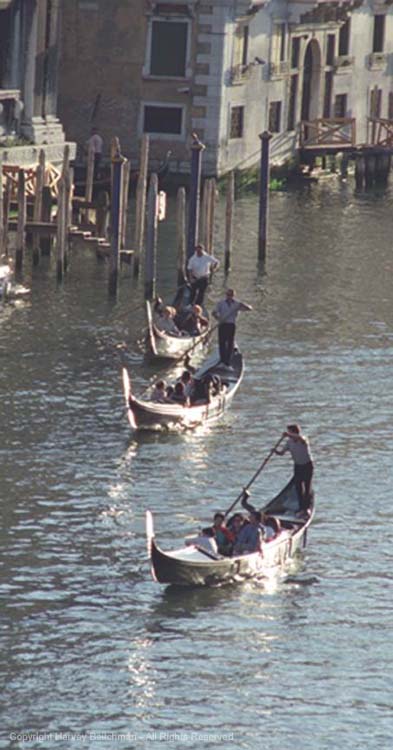 Venice 3 Gondolas.jpg